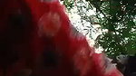 Boyfriend fuck his gf in jungle