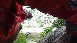 Boyfriend fuck his gf in jungle