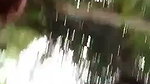 Boyfriend fuck his gf in jungle