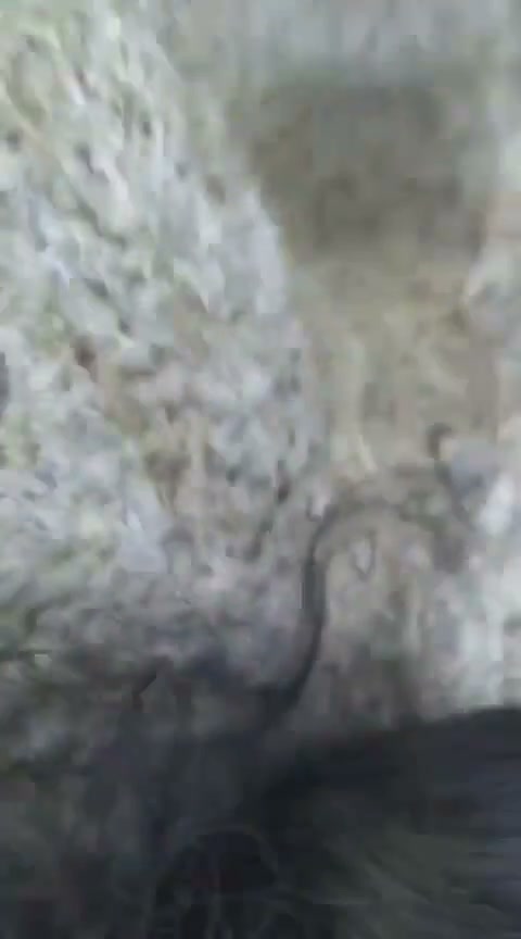 Frame 9