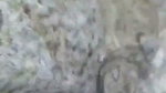 Gf fucking outdoor with bf