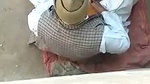 Husband caught his wife with old man