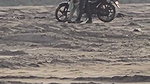 1000046454