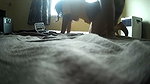 Big Ass Karisma Bhabhi Anal XXX mms