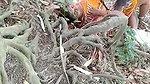 Bihar Bhojpuri baba outdoor XXX
