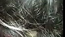 College girl sucking cock Tamil blowjob sex