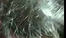 College girl sucking cock Tamil blowjob sex