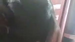 Cute Indian sucking Xxx video mms