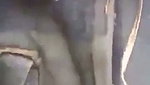 Dehati outdoor XXXX mms porn hardcore