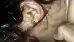 Desi Blowjob Xxx videos  mms
