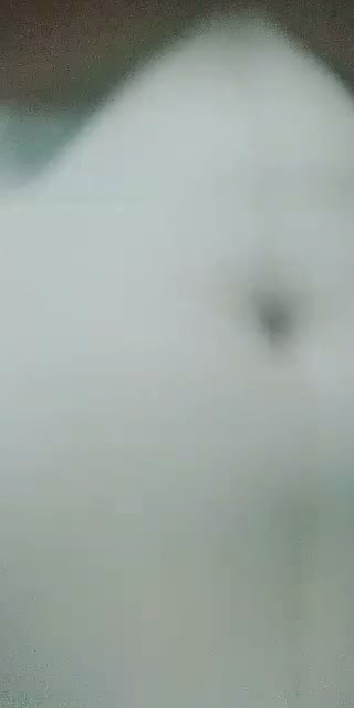 Frame 8
