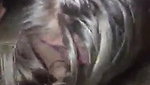 Asian Friend snuck into my tent and sucked my Dick