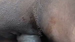 HD outdoor sex of a village couple in a jungle pon