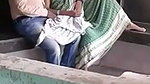 Illegal cock sucking in park mms