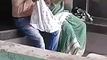 Illegal cock sucking in park mms