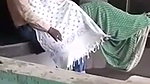 Illegal cock sucking in park mms