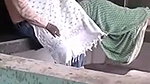 Illegal cock sucking in park mms