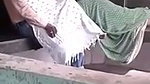 Illegal cock sucking in park mms