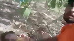 Indian adivasi outdoor XXX mms
