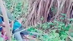 Jungle mein chudai MMs  porn