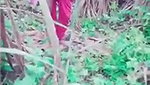 Jungle mein chudai MMs  porn