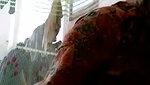 Man sucks his womans big boobs in Pakistani sex