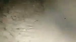 Romance and sex of Indian lovers mms