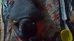 Village guy fucks his horny aunt in xxx desi video