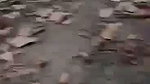 jungle mein ghodi banake chudai kri
