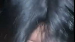 lund chusi gf ne