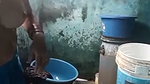 VID 22351691