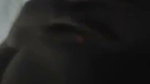 VID 21424783