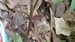 1000235830