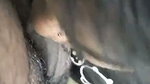Beautiful girl giving Blowjob to cousin brother