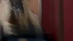 Big ass aunty fuck hard in Doggy with gym trainer
