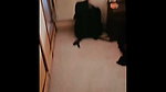 Boyfriend fuck his girl hard  having fun