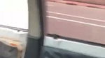 Sexy girl give Blowjob inside the car