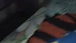 Village bhabhi give Blowjob  fuck