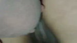1000235773
