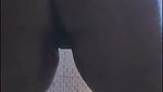 1000005659