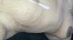 Indian Bhabhi Blowjob and Fucked