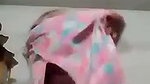 VID 23492831