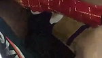 Aunty give Blowjob  cum on her mouth