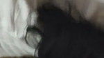 Aunty give deeply Blowjob