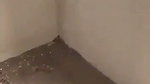 Bhabhi fuck with labors who is working in her house