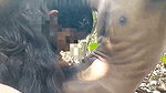 Girlfriend show her hairly pussy  give Blowjob