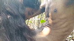 Girlfriend show her hairly pussy  give Blowjob