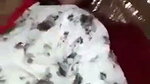 restaurant sex secretly