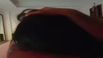 Beautiful girl giving deeply Blowjob