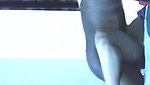 Bangla sex video of lovers captured on hidden cam